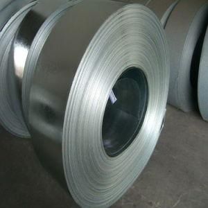 0.13mm-5.0mm Thickness Galvanized Steel Strip