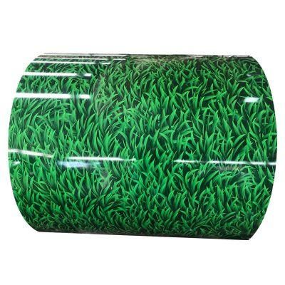 Prepainted Galvanized Steel Coil Z50 Z60 Z100 Z120 Z150 Z275 Color Coated Galvanized Plate Sheet for Roof Sheet
