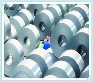 2020 Steel Coil in Stainless Steel
