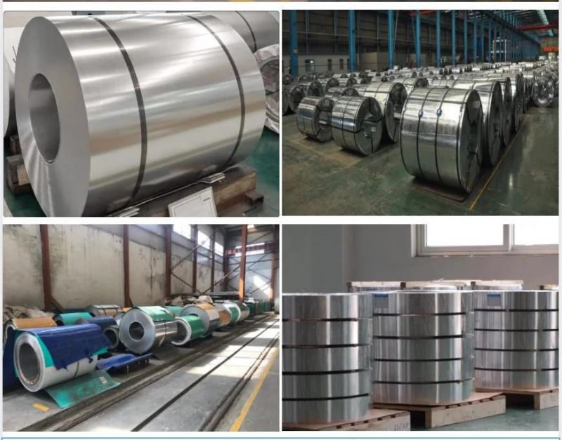 Coils Stainless Steel Sheet Coil 430 201 304 316 Ss Coils Hot Rolled Stainless Steel Sheet in Coil