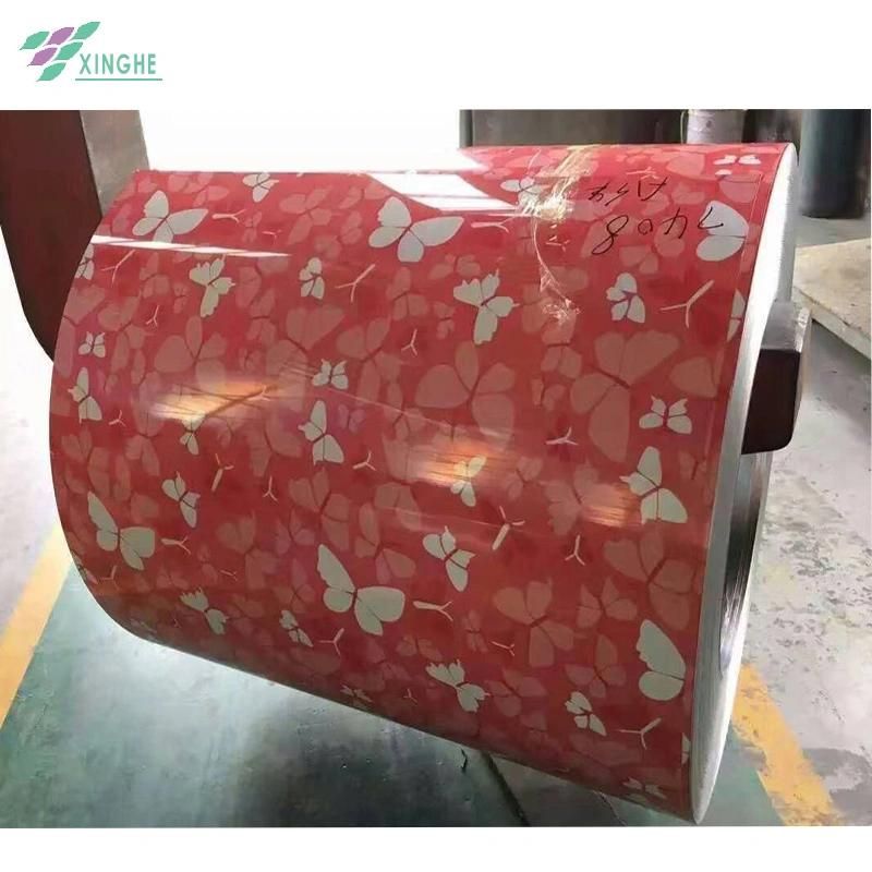 Prepainted Galvanized PPGI Steel Coil with Ral Colours