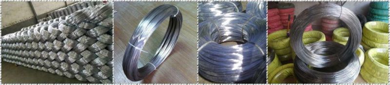 High Quality Loop Tie Wire Type Gi Binding Wire 100kg Coil (GI wire manufacturer)