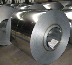 Factory Supply Galvanized Steel Coil for Building Material