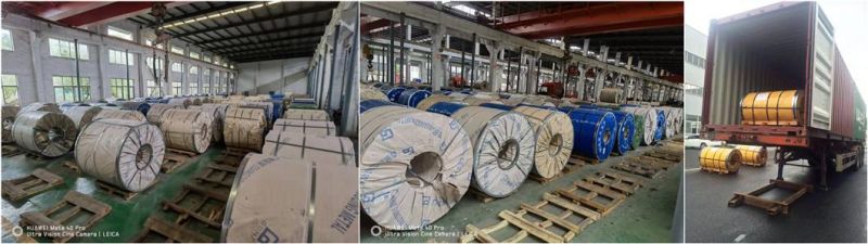 Hot/Cold Rolled Ss 201 304 316L 310S 304L 316 403 405 409 434 444 2205 2507 430 Tisco Stainless/Galvanized/Aluminum/Carbon Steel Coil