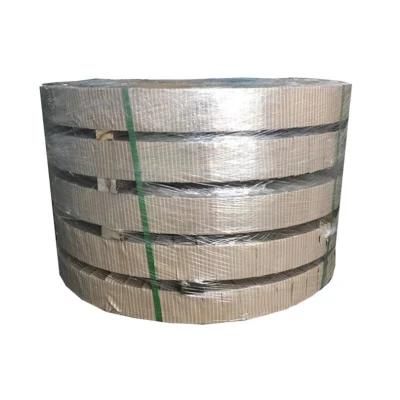 Factory Direct Precision Stainless Steel 301 310S Strip