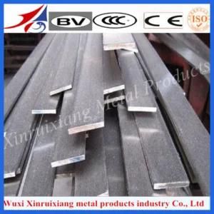 AISI Standard Size 316L Stainless Steel Flat Bar with Holes