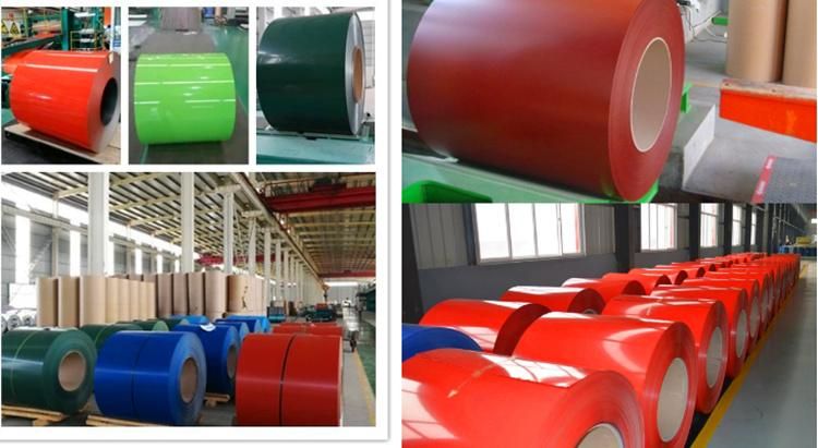 Construction Steel Coil Roofing Coil Sheet Ral Color Gi Coated Coil Coated Steel Coil PPGI Coil Price