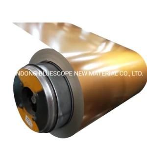 Hot Dipped Galvanized Steel Coil Dx51d, Gi, SGCC, ASTM653 Prepainted Galvanized Steel Sheet Coil