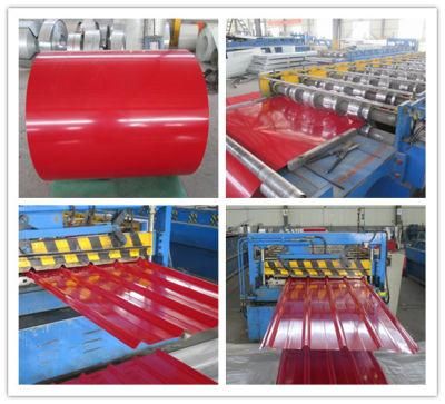 Prepainted Gi Steel Coil / PPGI / PPGL Color Coated Galvanized Steel Sheet in Coil