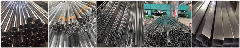 Stainless Steel Welded Ellipse Tube/Pipe