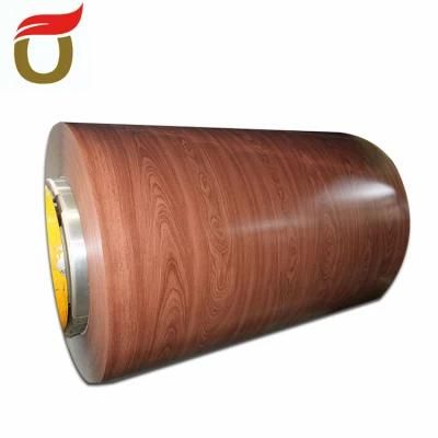 Manufacture Stock ASTM 0.3-3mm Building Materials Material Color Coated Galvanized Steel Coil