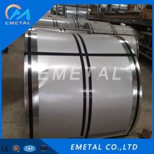 Hot Rolled and Cold Rolled Ss 201 Stainless Steel Coil 6K Finish