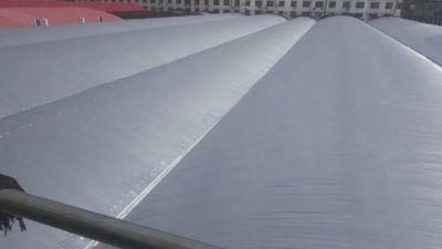 Heat Insulated Anti-Corrosion Steel Can Instead The PPGI