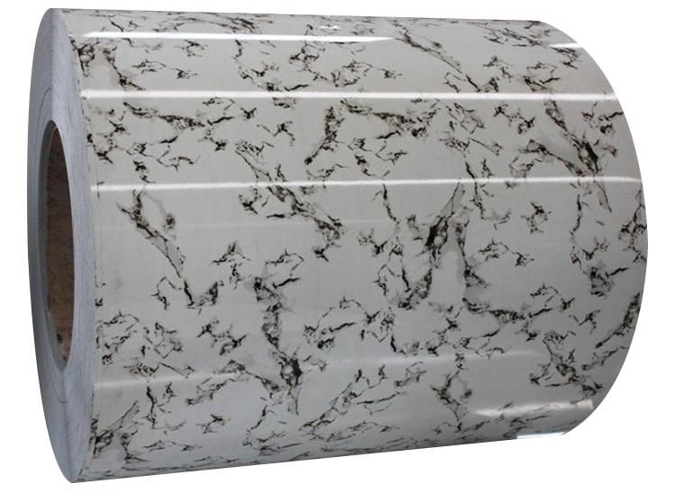 Factory Direct Ppcg Zinc 60g -275g Galvanized Steel Coil Metal Roofs Coated Color Steel Sheet
