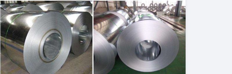 0.6mm Hot Rolled Galvanized Steel Plate Coil