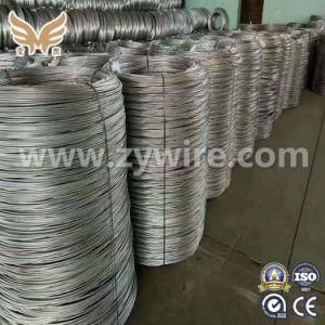 Factory High Tensile Galvanized Steel Wire for Construction