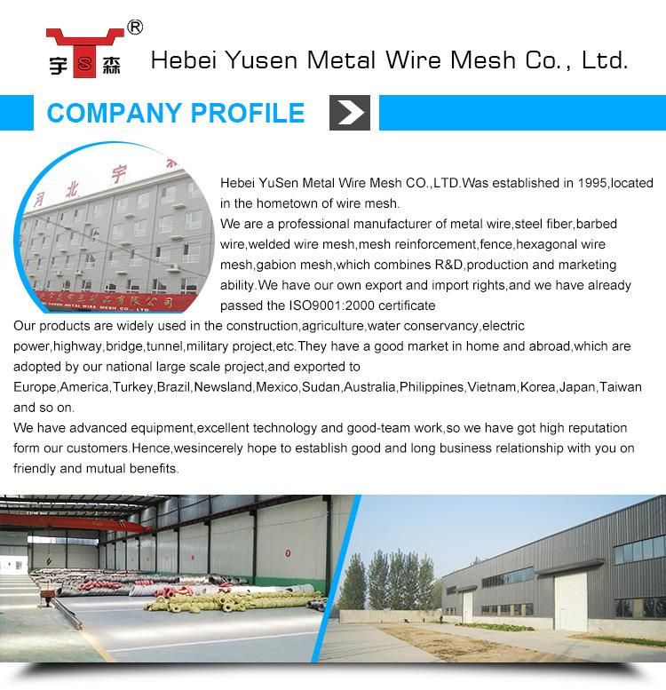 Glued Hookedend Steel Fiber