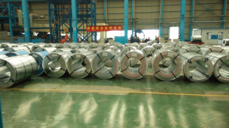 Building Materials Zinc Coating Galvanized Steel Coil Gi