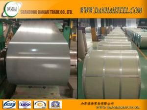 Color-Coated Steel Coil, PE and PVDF Paint