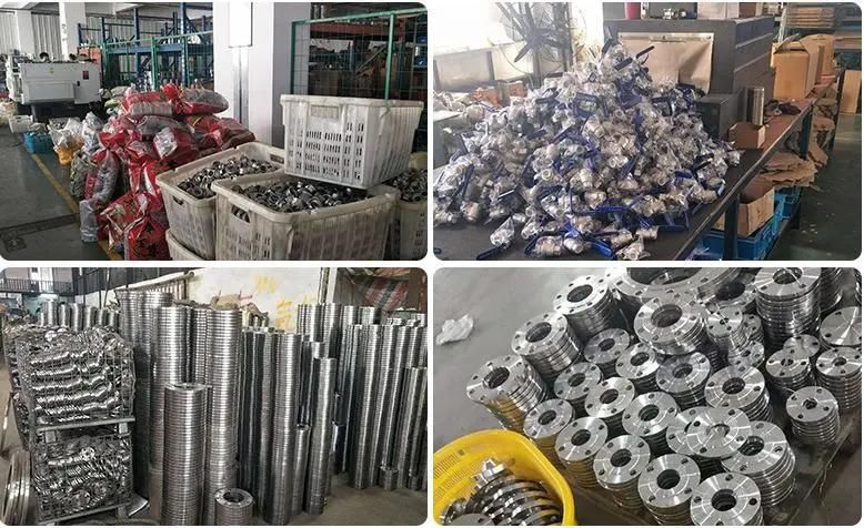 Many Kinds of Stainless Steel Pipe Fitting /Stainless Steel Elbow S32205/316L 304