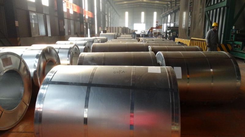 Galvanized Zinc Coated Steel Coil Used for Indoor Decoration
