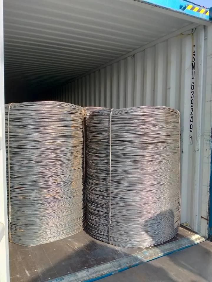 Professional Supplier SAE1008 Nail Material Hot Rolled Steel Wire Rod for Screw