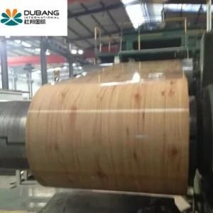Manufacture Construction Automobile Material Color Coated Steel Coil PPGI