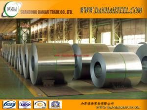 Galvalume Steel Coils Color Coated PPGL Sheet
