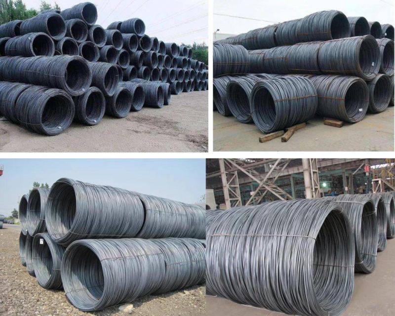 Manufacture Alloy Bar ASTM Iron Metal Price Building Material Steel Wire Rod