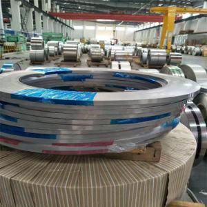 Stainless Steel Coil Supplier 304 2D Surface 0.01mm