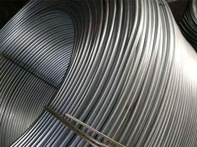 AISI ASTM Alloy Building Iron Carbon Steel Round Bar Wire Rod in China