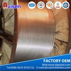 304 Gradestainless Steel Coil Pipe