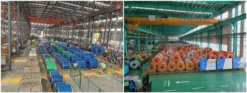 SUS 316 304 317 310 301 Hot Rolled Stainless Steel Coil 5mm 6mm 7mm10mm