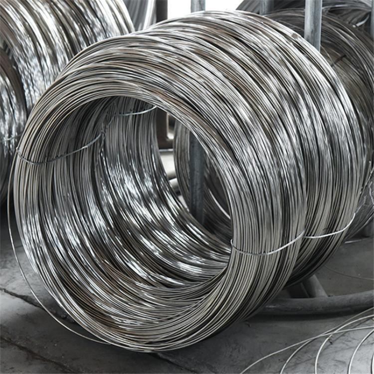 SUS 304 316 310 312 Stainless Steel Wire