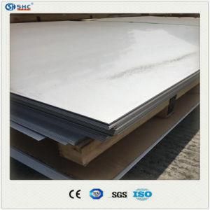 Embossed Metal SS304 Sheet Decorative for Kitchen Wall and Cabinets