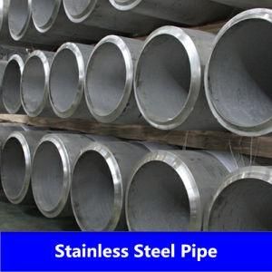 SUS 316L Pipe in Seamless with High Quality