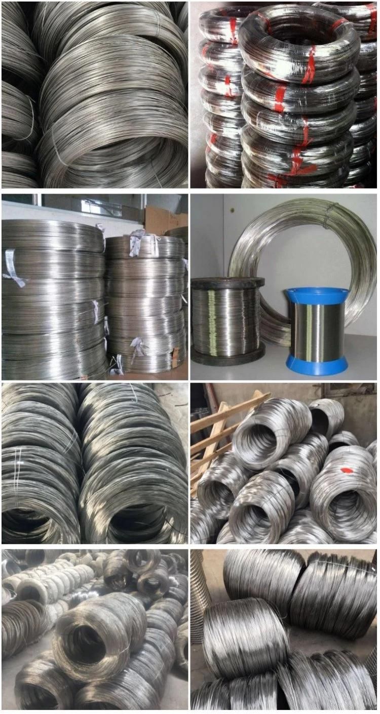 201 Bright Spring Wire Special Promotion 304 Stainless Steel Wire