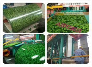 Chinese Grass Design PPGI Galvanized Steel Coil