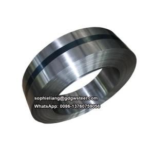 Cold Rolled Annealed AISI 1074 Spring Steel