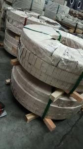 Aluminised, SA1d SA1c Dx51d+as Dx53D+as, SA1e Aluminized Steel Coil and Sheets Galvalume Steel Strip