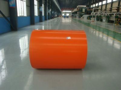 Painted Steel Coil PPGI PPGL