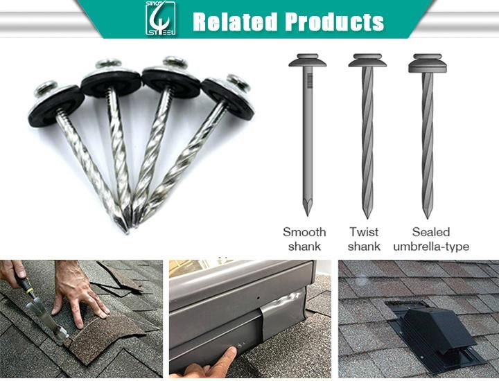 Marine Grade Steel Plate Prepainted Galvanized Steel Roofing Sheet