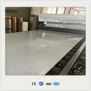 ASTM DIN Standard 304 Stainless Steel Metal Sheet/Plate of High Quality
