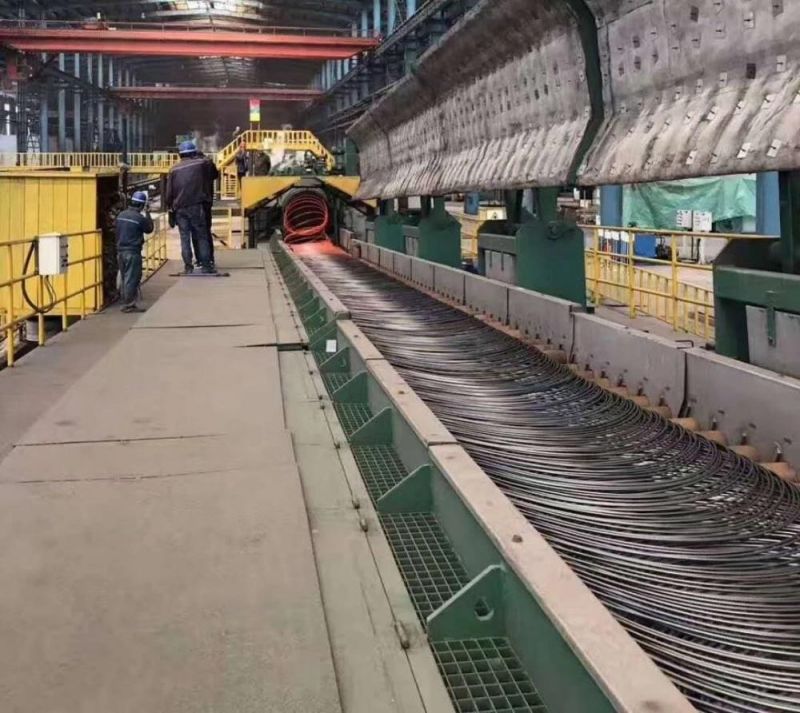 SAE 1008 Low Carbon Hot Rolled Steel Wire Rod in Coil