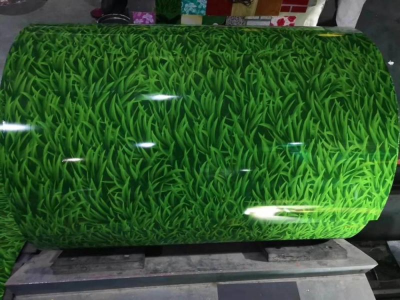 Grass Pattern Galvanized PPGI Coil Construction Roofing and Wall Steel Plate Coil