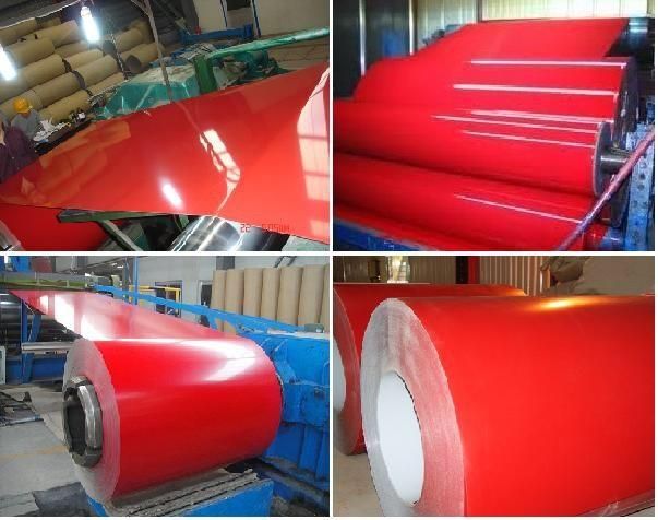 Various Sizes Ral Color Coated Steel Coil PPGI with 0.13-0.70mm Thickness