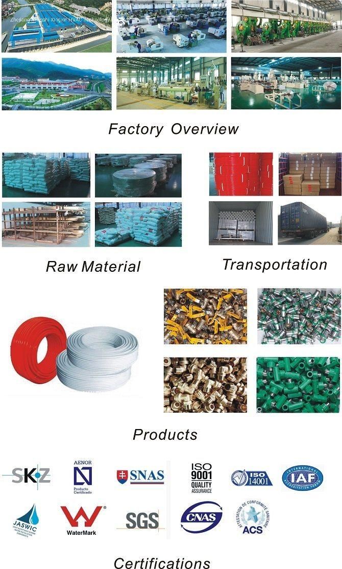 Ring Press Stainless Steel Pipes-Normal Type