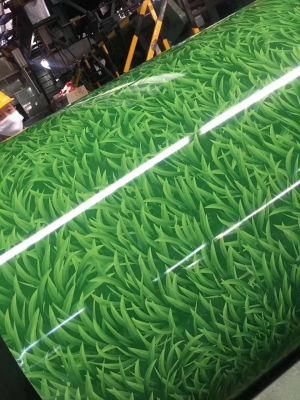 High Class Grass Pattern Rolled Color Coated Steel Coil