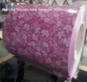 Customized Pattern Pre-Painted Galvanized Steel Coil From China Supplier