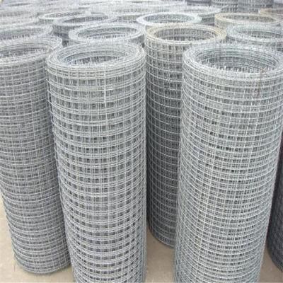 Hot Sale High Quality Electric Galvanized 304 316L Stainless Steel Wire Mesh for Fence